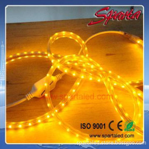 AC220V led strip lights USA SMD 3528/5050